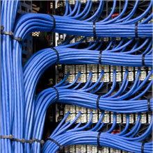 Network cables blue