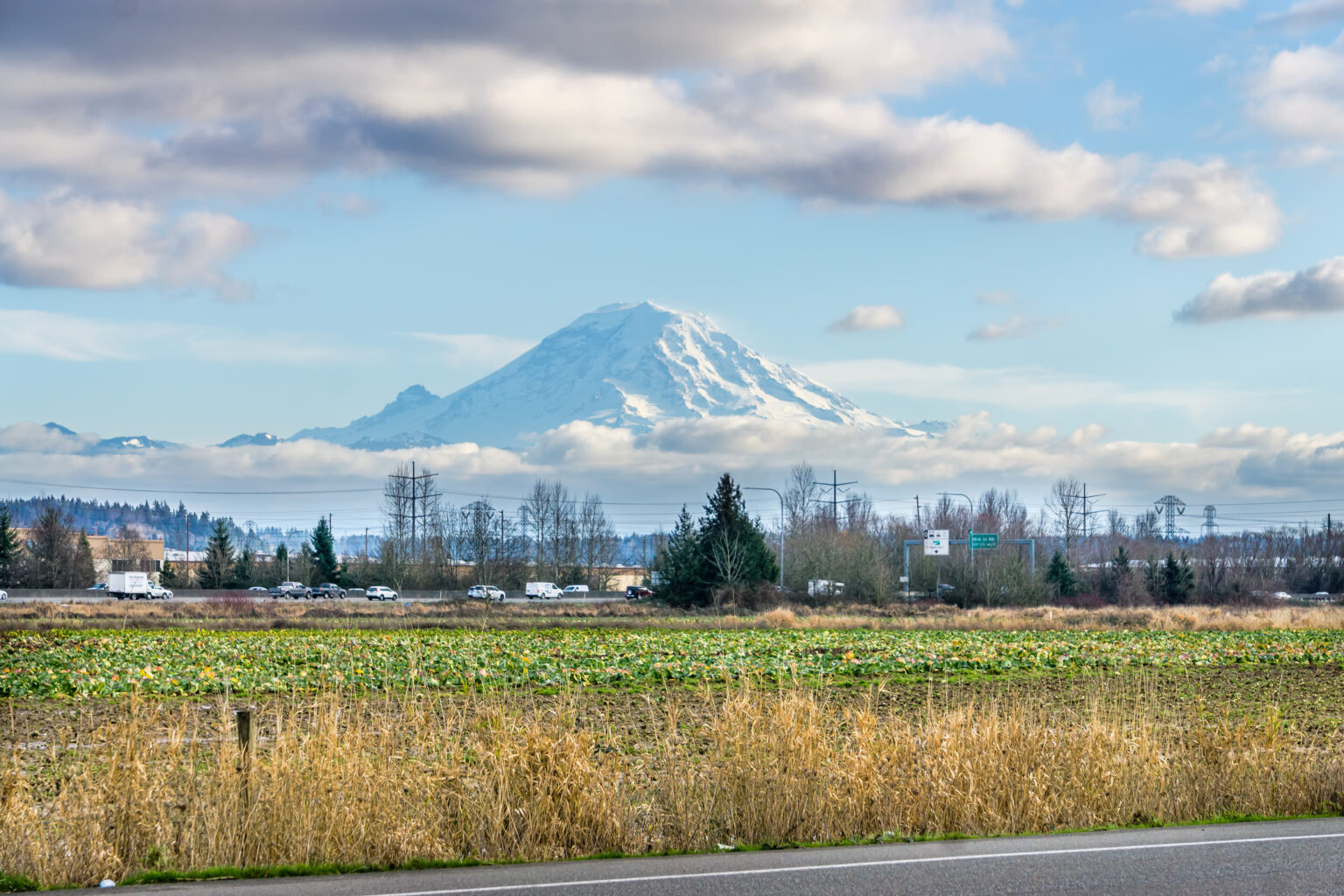 mt rainier